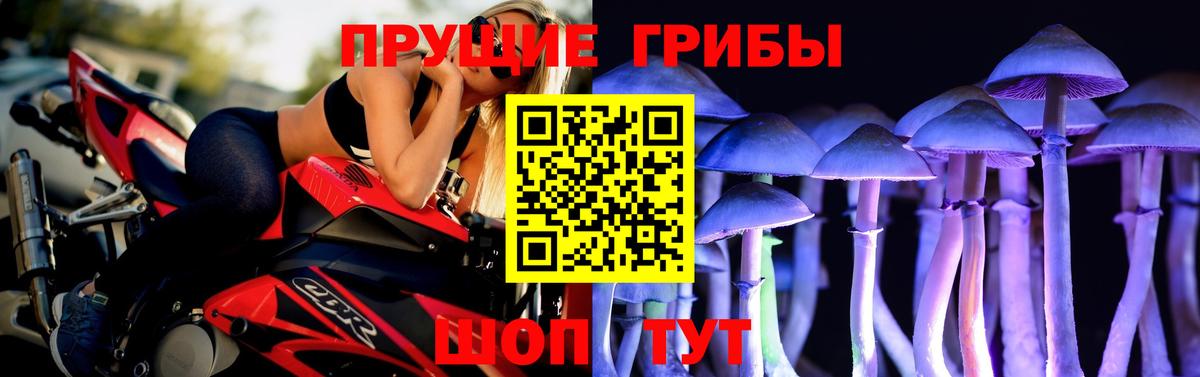 Кызыл  Псилоцибиновые грибы прущие грибы  Вход с VPN 