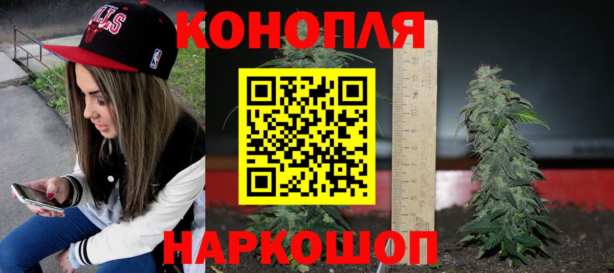 Марихуана ГИДРОПОН  Вход с VPN  Шишки марихуана Bruce Banner  Кызыл  Марихуана Ganja 